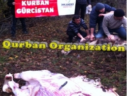 2011 Georgia  Pankisi Qurban Organization