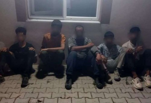 Kırklareli'nde polis ekiplerince yapılan çalışmada 53 kaçak göçmen yakalandı