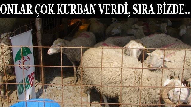 ONLAR ÇOK KURBAN VERDİ SIRA BİZDE