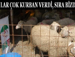 ONLAR ÇOK KURBAN VERDİ SIRA BİZDE